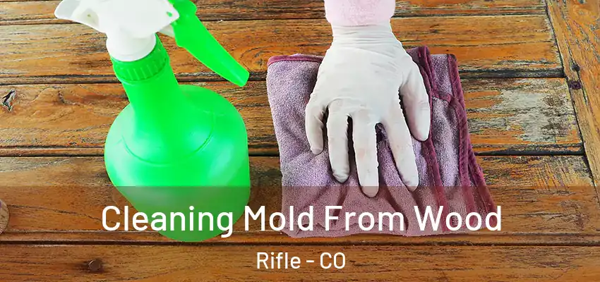 Cleaning Mold From Wood Rifle - CO