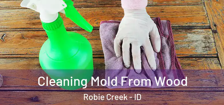  Cleaning Mold From Wood Robie Creek - ID