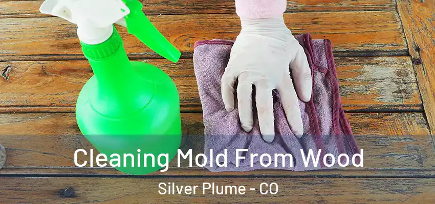  Cleaning Mold From Wood Silver Plume - CO