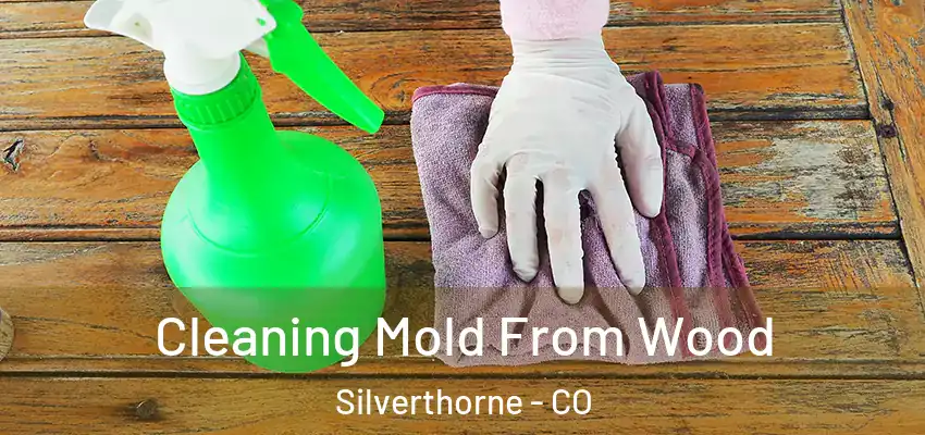  Cleaning Mold From Wood Silverthorne - CO