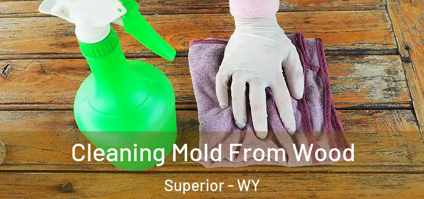 Cleaning Mold From Wood Superior - WY