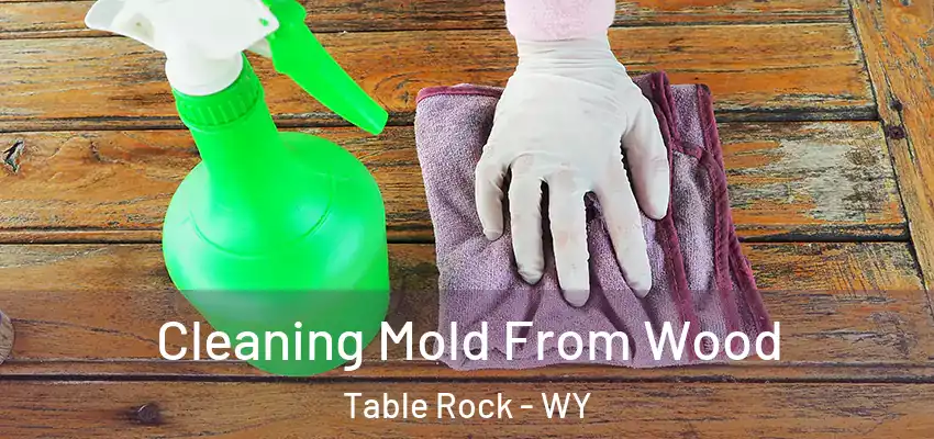  Cleaning Mold From Wood Table Rock - WY
