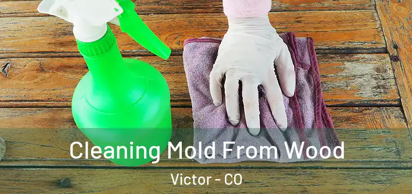  Cleaning Mold From Wood Victor - CO