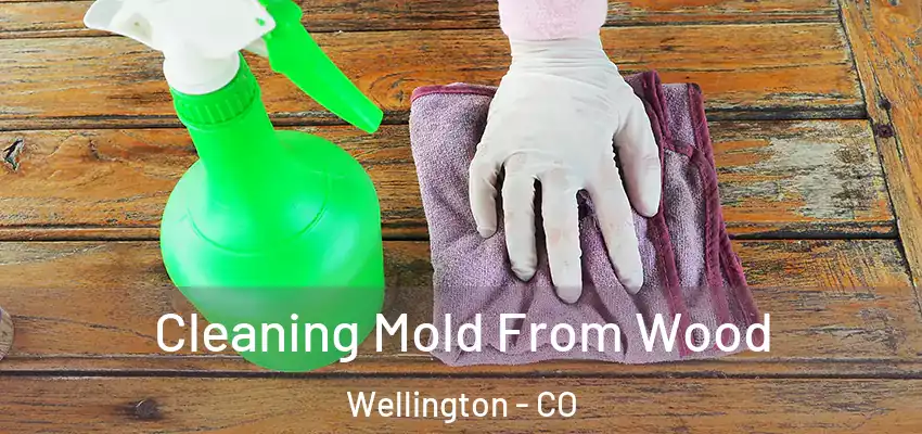  Cleaning Mold From Wood Wellington - CO