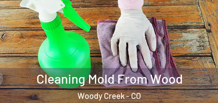  Cleaning Mold From Wood Woody Creek - CO