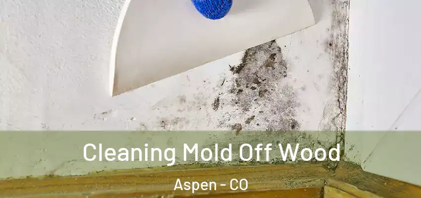Cleaning Mold Off Wood Aspen - CO