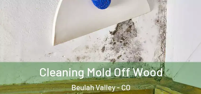 Cleaning Mold Off Wood Beulah Valley - CO
