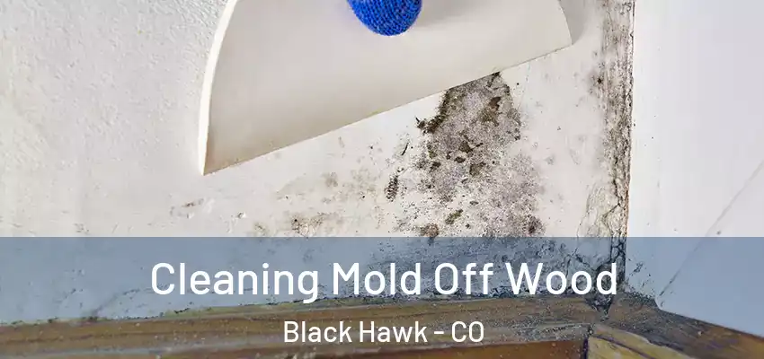  Cleaning Mold Off Wood Black Hawk - CO