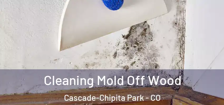  Cleaning Mold Off Wood Cascade-Chipita Park - CO