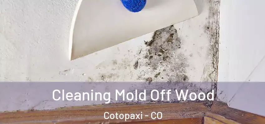  Cleaning Mold Off Wood Cotopaxi - CO