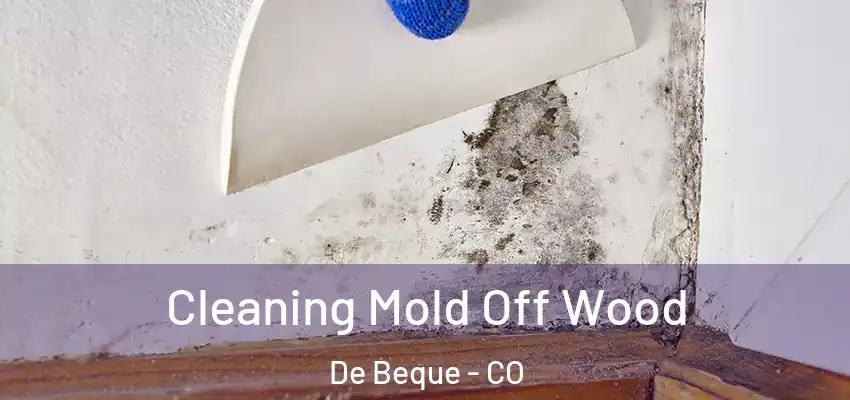  Cleaning Mold Off Wood De Beque - CO