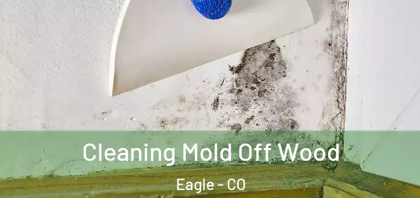 Cleaning Mold Off Wood Eagle - CO
