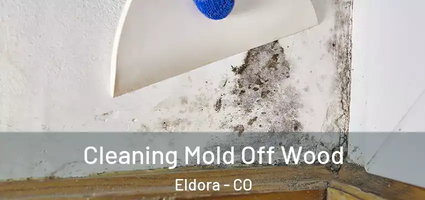 Cleaning Mold Off Wood Eldora - CO