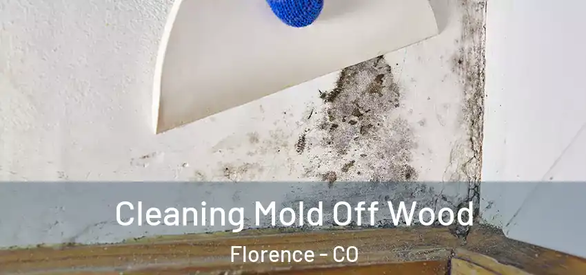  Cleaning Mold Off Wood Florence - CO