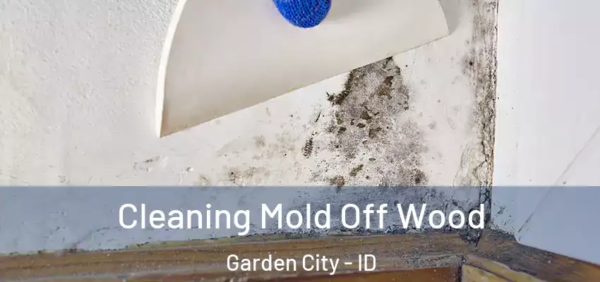  Cleaning Mold Off Wood Garden City - ID