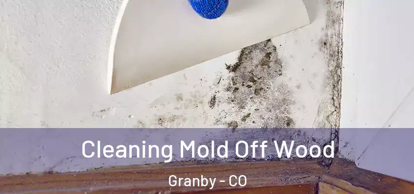  Cleaning Mold Off Wood Granby - CO