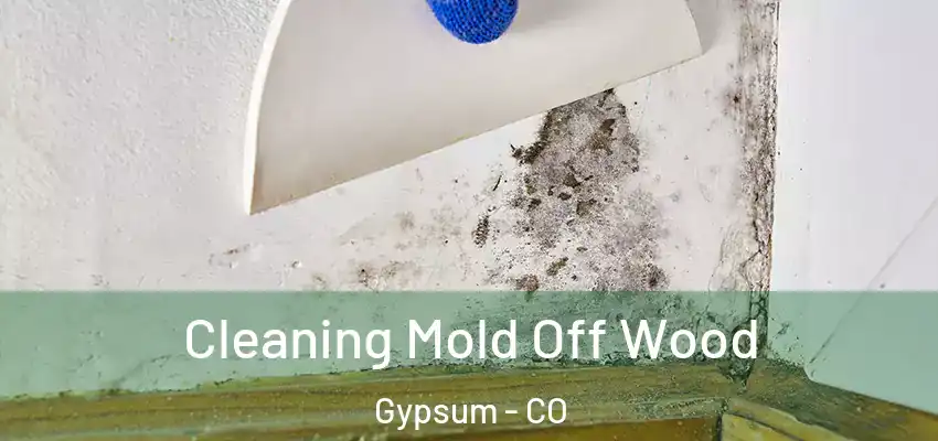 Cleaning Mold Off Wood Gypsum - CO