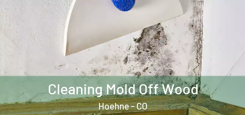  Cleaning Mold Off Wood Hoehne - CO
