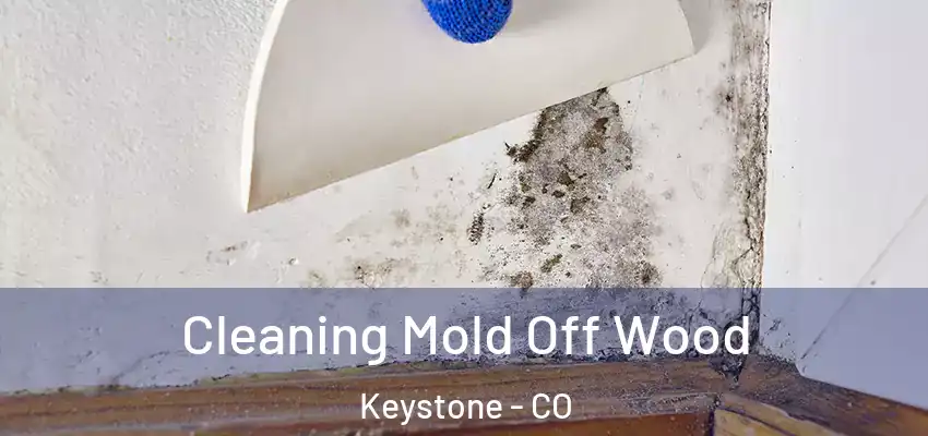  Cleaning Mold Off Wood Keystone - CO