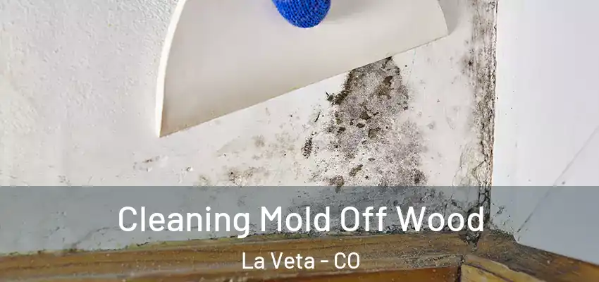 Cleaning Mold Off Wood La Veta - CO