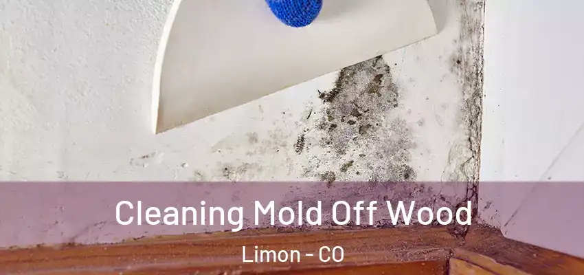  Cleaning Mold Off Wood Limon - CO