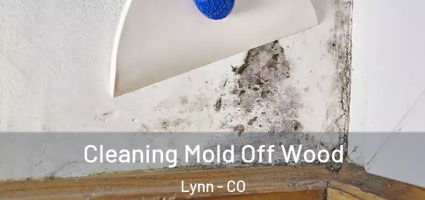  Cleaning Mold Off Wood Lynn - CO