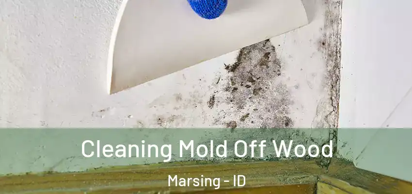 Cleaning Mold Off Wood Marsing - ID