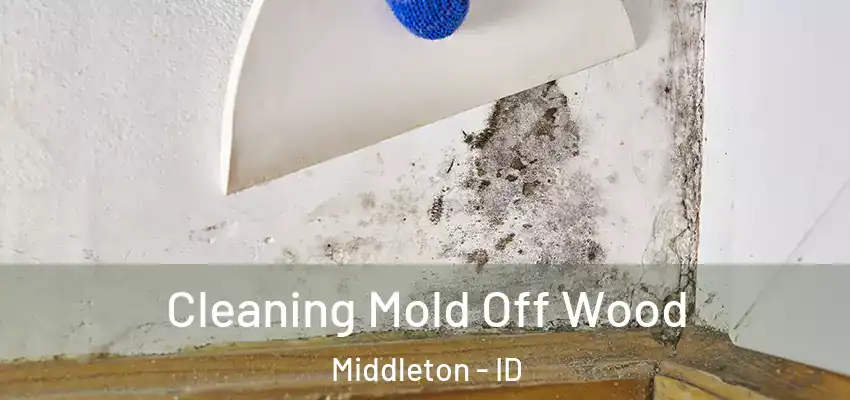  Cleaning Mold Off Wood Middleton - ID
