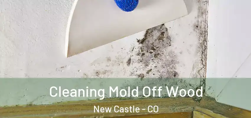  Cleaning Mold Off Wood New Castle - CO