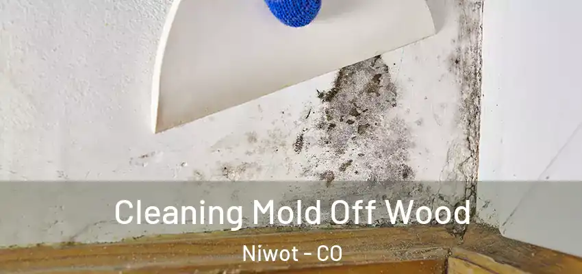  Cleaning Mold Off Wood Niwot - CO