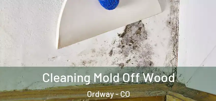  Cleaning Mold Off Wood Ordway - CO
