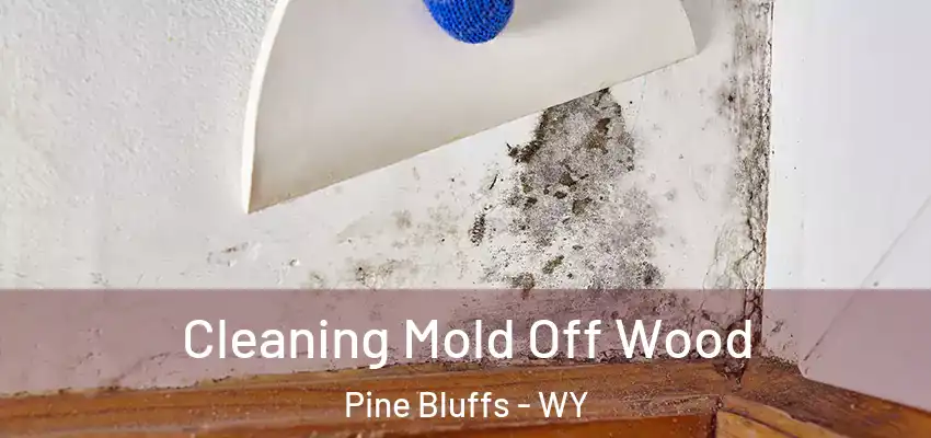  Cleaning Mold Off Wood Pine Bluffs - WY