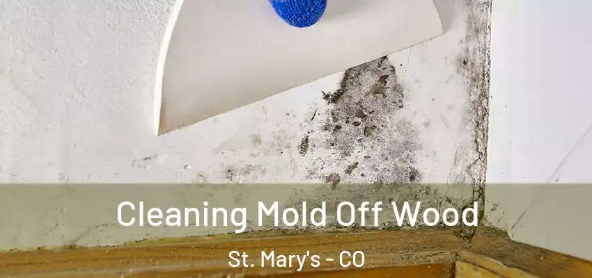  Cleaning Mold Off Wood St. Mary's - CO