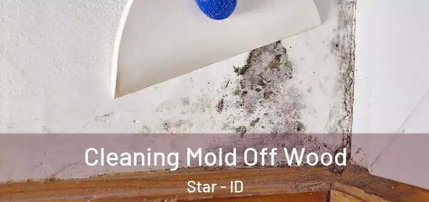  Cleaning Mold Off Wood Star - ID