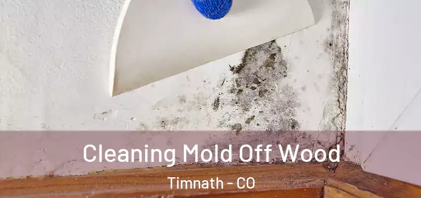  Cleaning Mold Off Wood Timnath - CO
