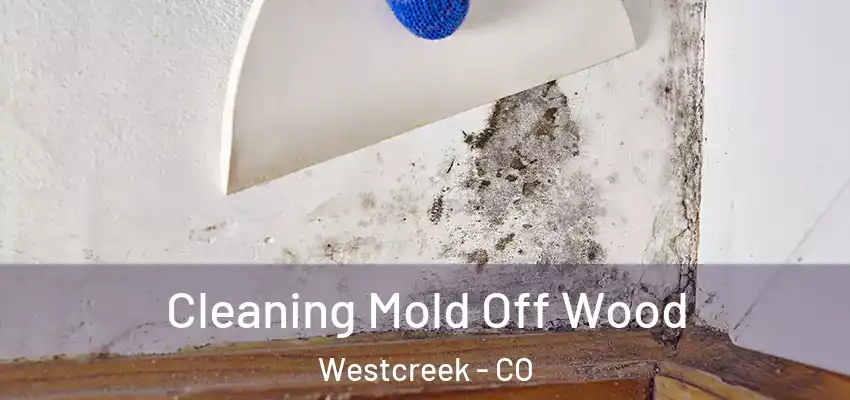  Cleaning Mold Off Wood Westcreek - CO