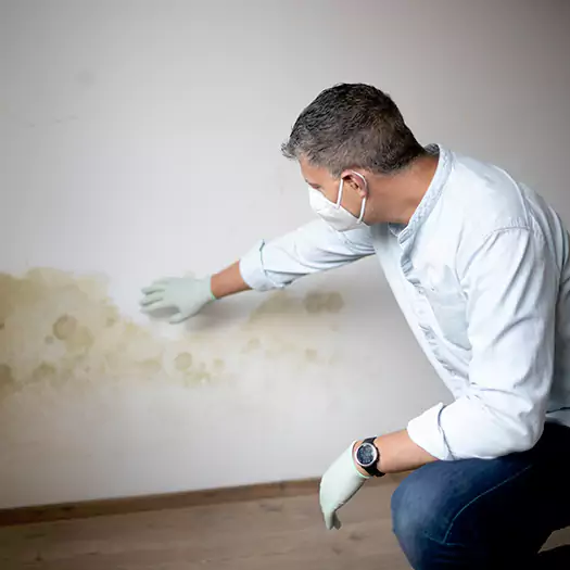 Trusted Mold Remediation and Removal Experts in Allenspark, CO