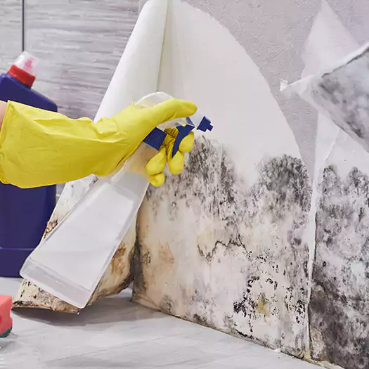 Reliable Mold Abatement Specialists in Commerce City, CO