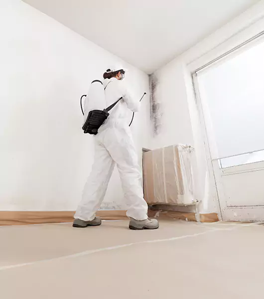 Specialists in All Areas of Mold Remediation and Water Damage Restoration in Allenspark, CO