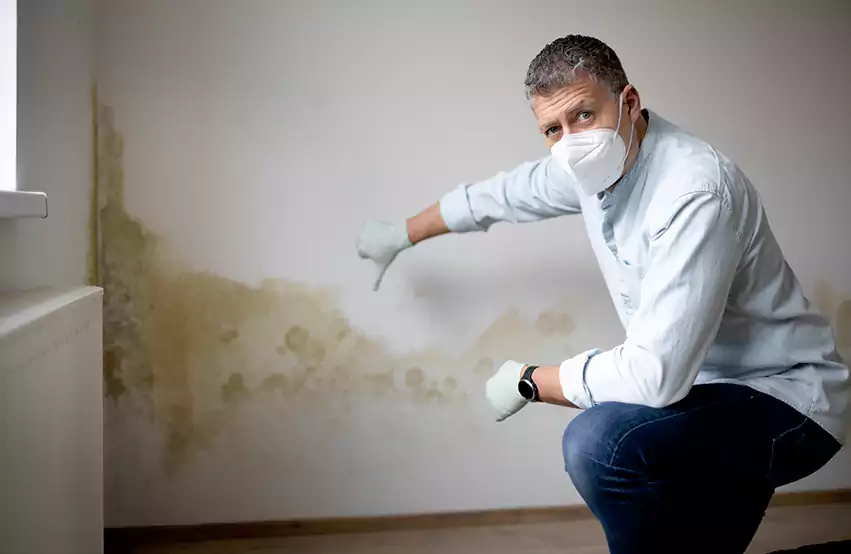 Mold Removal in Allenspark, CO