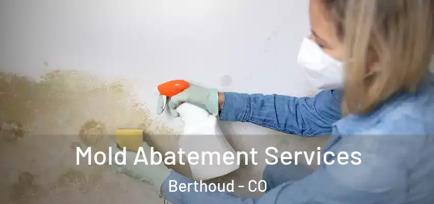  Mold Abatement Services Berthoud - CO