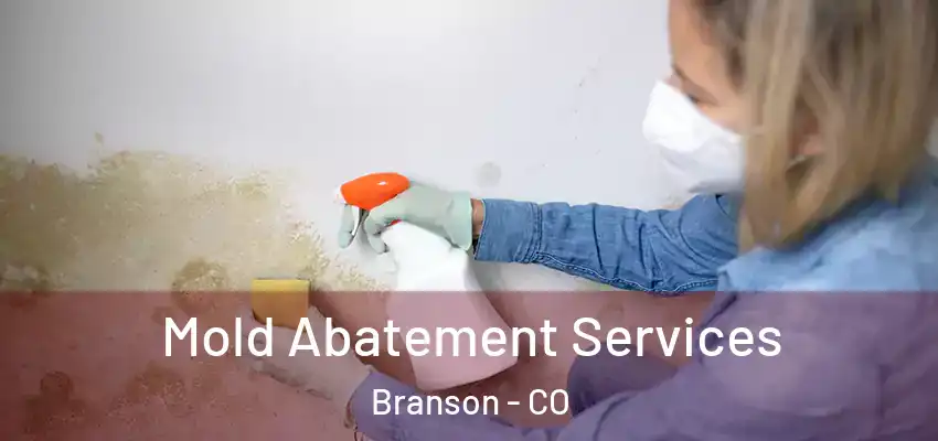  Mold Abatement Services Branson - CO