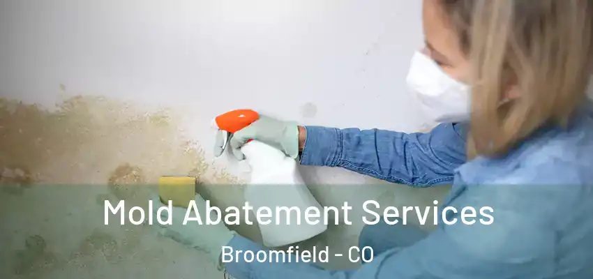Mold Abatement Services Broomfield - CO
