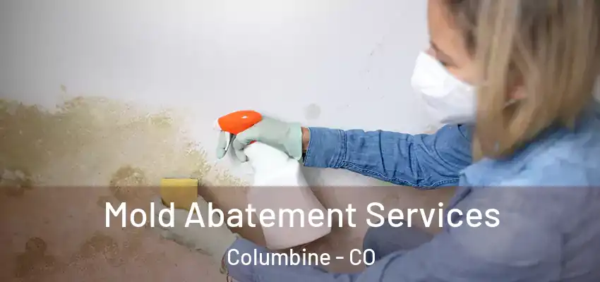  Mold Abatement Services Columbine - CO