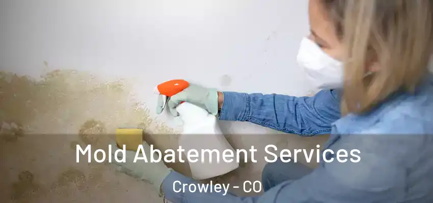  Mold Abatement Services Crowley - CO