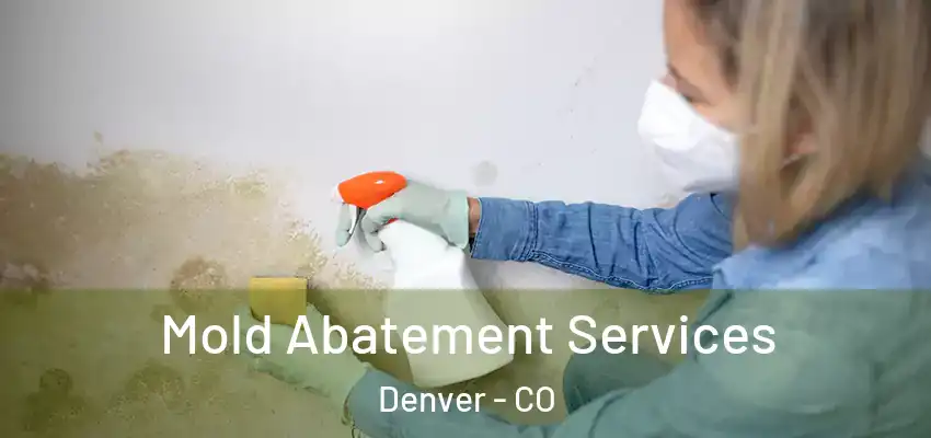 Mold Abatement Services Denver - CO