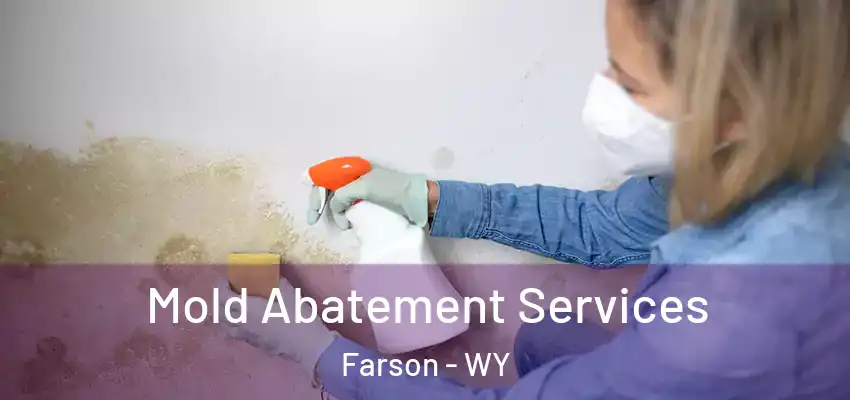  Mold Abatement Services Farson - WY