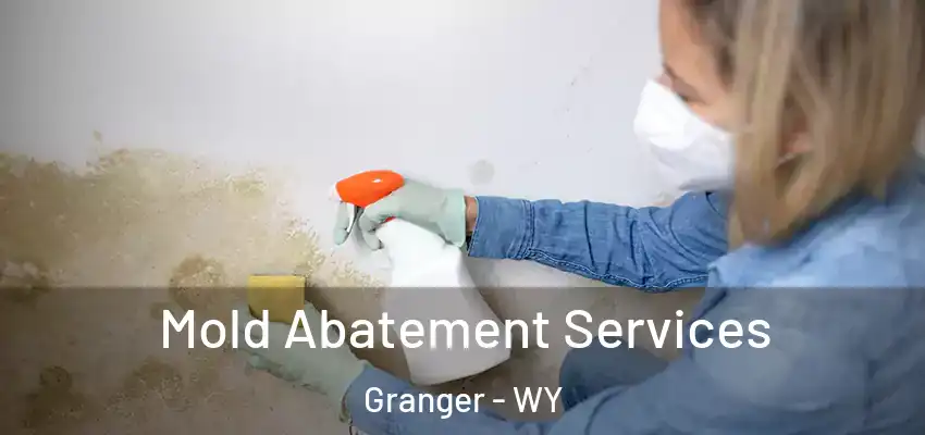 Mold Abatement Services Granger - WY