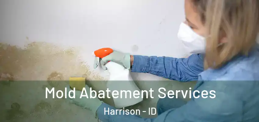  Mold Abatement Services Harrison - ID