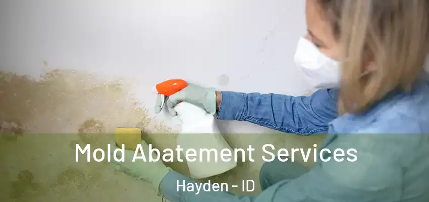 Mold Abatement Services Hayden - ID
